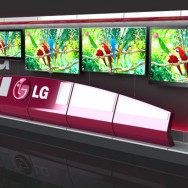 LG TV Wall as it would be in a Best Buy. Design by Colin Finkle. White frame with gark grey backgrounds. TVs have pictures of parrots to show off colour.